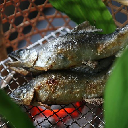 雾岛市 妙见石原庄酒店 外观 照片